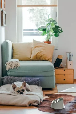 Alessi Wowl Hondenvoerbak 0,5L Grijs -Beste Meubelcollectie Winkel x886x886 alessi wowl hondenvoerbak 0 5l2.jpg.pagespeed.ic .x3UruN3XMX