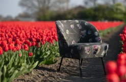 BePureHome Vogue Fauteuil Fluweel Poppy Grijs -Beste Meubelcollectie Winkel x886x886 bepurehome vogue fauteuil47.jpg.pagespeed.ic .VZclBJdBVa