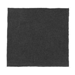 Blomus Lineo Servet Magnet