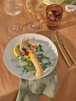 Broste Copenhagen Nordic Sand Diner Serviesset 4 Personen -Beste Meubelcollectie Winkel x886x886 broste copenhagen nordic sand diner serviesset.jpg.pagespeed.ic . nIt9gVN4p