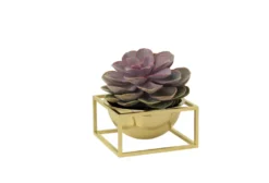 Audo Copenhagen Kubus Bowl Centerpiece Schaal Small Ø14 Goud -Beste Meubelcollectie Winkel x886x886 by lassen bowl centerpiece small woondecoratie4.jpg.pagespeed.ic .7jKfzGe8dS