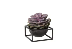 Audo Copenhagen Kubus Bowl Centerpiece Schaal Small Ø14 Goud -Beste Meubelcollectie Winkel x886x886 by lassen bowl centerpiece small woondecoratie6.jpg.pagespeed.ic .pfDcs swHO