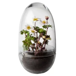 Design House Stockholm Grow Greenhouse Vaas Medium