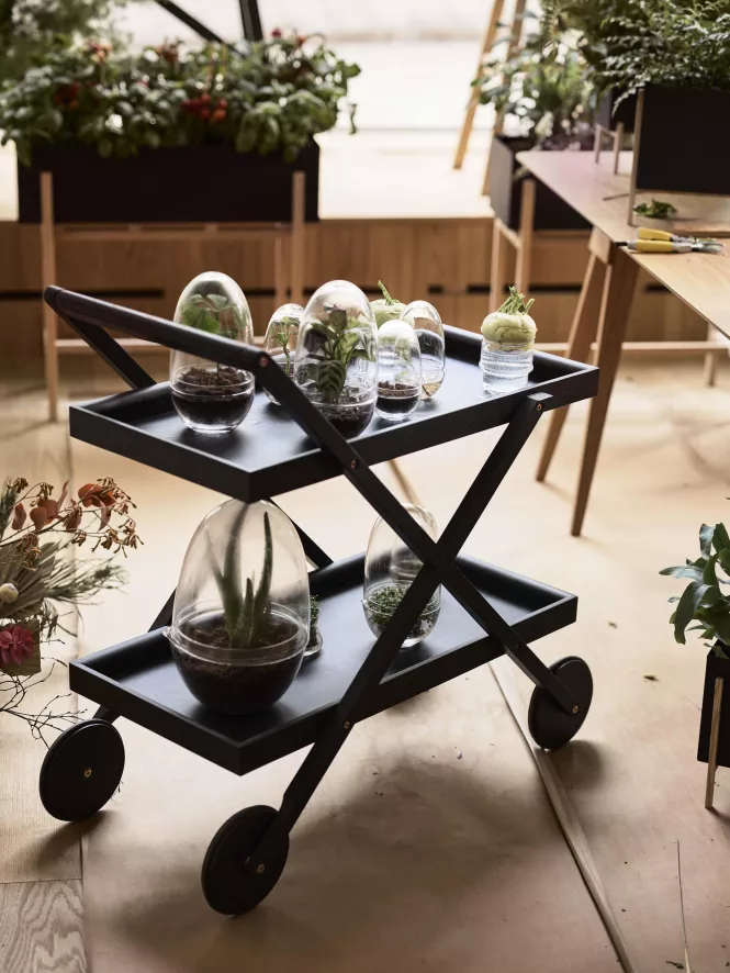 Design House Stockholm Grow Greenhouse Vaas Medium 4 Design House Stockholm Grow Greenhouse Vaas Medium - Afbeelding 4