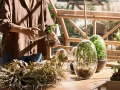 Design House Stockholm Grow Greenhouse Vaas Medium 10 Design House Stockholm Grow Greenhouse Vaas Medium -Beste Meubelcollectie Winkel x886x886 design house stockholm grow greenhouse vaas medium3.jpg.pagespeed.ic .6gSS9YlrUq