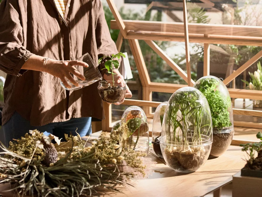 Design House Stockholm Grow Greenhouse Vaas Medium 5 Design House Stockholm Grow Greenhouse Vaas Medium - Afbeelding 5