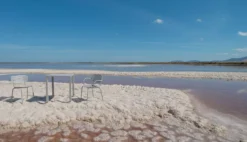 Emu Mom Tuinstoel Met Armleuning Curry Yellow -Beste Meubelcollectie Winkel x886x886 emu mom tuinstoel24.jpg.pagespeed.ic .BOLKa IO3t