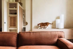 FÉST Clay Bank Met Longchair Links Soil 01 Natural 27 FÉST Clay Bank Met Longchair Links Soil 01 Natural -Beste Meubelcollectie Winkel x886x886 f st clay bank 3 zits12.jpg.pagespeed.ic .mAIDweMEmc