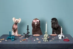 Fatboy Can-Dog Kandelaar Teckel Wit 26 Fatboy Can-Dog Kandelaar Teckel Wit -Beste Meubelcollectie Winkel x886x886 fatboy can dog kaarsenstandaard13.jpg.pagespeed.ic .QoWd6Cl A2