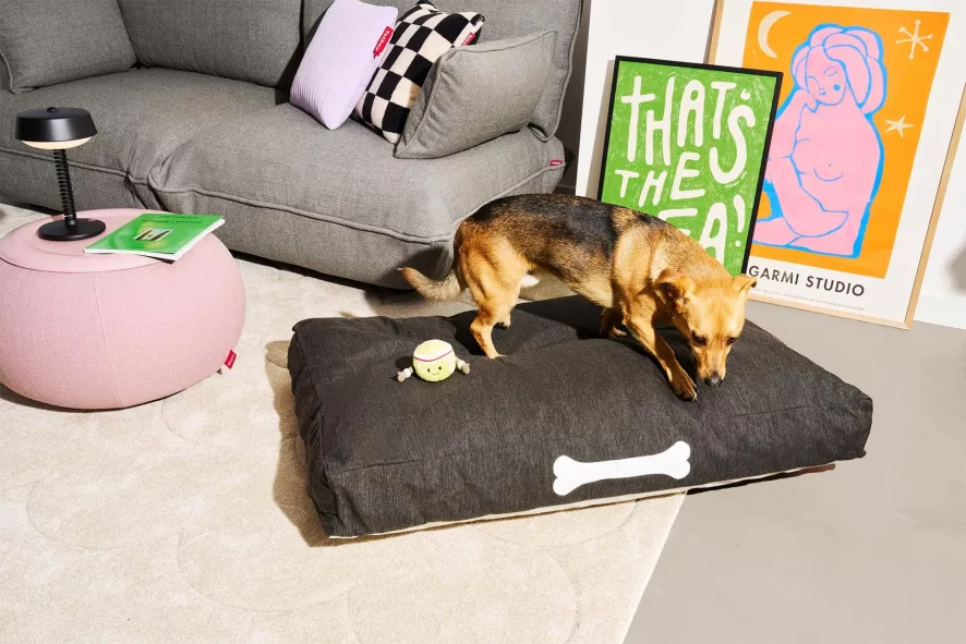 Fatboy Doggielounge Olefin Hondenkussen Small Mist 12 Fatboy Doggielounge Olefin Hondenkussen Small Mist - Afbeelding 12