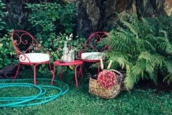 Fermob 1900 Fauteuil Met Off-white Zitkussen Nutmeg -Beste Meubelcollectie Winkel x886x886 fermob 1900 fauteuil met off white zitkussen23.jpg.pagespeed.ic .FaLiNmxNcg 1