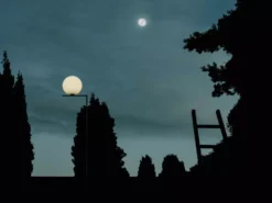 Flos IC Lights F1 Outdoor Vloerlamp Staal, Voet Donkergrijs -Beste Meubelcollectie Winkel x886x886 flos ic f1 outdoor vloerlamp19.jpg.pagespeed.ic .HM8TP2w 8a