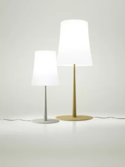 Foscarini Birdie Easy Tafellamp Large Rood -Beste Meubelcollectie Winkel x886x886 foscarini birdie easy tafellamp large7.jpg.pagespeed.ic .ie8S Tjhqh