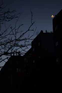 Foscarini Twiggy Grid Outdoor Booglamp LED Greige -Beste Meubelcollectie Winkel x886x886 foscarini twiggy grid vloerlamp outdoor led8.jpg.pagespeed.ic .466Ls oFUO