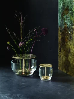 Fritz Hansen Ikebana Vaas Small Brass -Beste Meubelcollectie Winkel x886x886 fritz hansen ikebana vaas.jpg.pagespeed.ic .4m2HIS0E8l