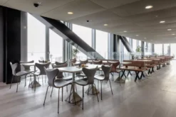 Fritz Hansen Lily Stoel Gestoffeerd Divina Melange 120 11 Fritz Hansen Lily Stoel Gestoffeerd Divina Melange 120 -Beste Meubelcollectie Winkel x886x886 fritz hansen lily stoel gestoffeerd3.jpg.pagespeed.ic .4nmDU t DB