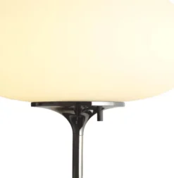 Gubi Stemlite Wandlamp -Beste Meubelcollectie Winkel x886x886 gubi stemlite wandlamp8.jpg.pagespeed.ic .Dp3ySnhBPi