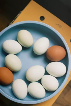 Hay Sobremesa Schaal M Ø23 Dark Brown -Beste Meubelcollectie Winkel x886x886 hay sobremesa schaal m4.jpg.pagespeed.ic .zDUZUhDst5