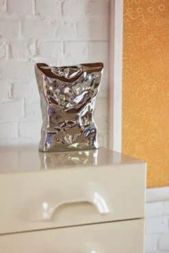 HKliving HK Objects Vaas Bag Of Crisps -Beste Meubelcollectie Winkel x886x886 hkliving hk objects vaas bag of crisps3.jpg.pagespeed.ic .88 qRoj1 X