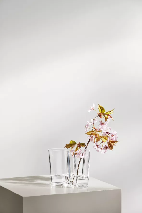 Iittala Alvar Aalto Vaas 16cm Helder 7 Iittala Alvar Aalto Vaas 16cm Helder - Afbeelding 7