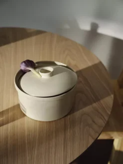 Iittala Teema Ovenschaal Met Deksel Ø20.9 Wit -Beste Meubelcollectie Winkel x886x886 iittala teema schaal met deksel5.jpg.pagespeed.ic . c1siPdsdD