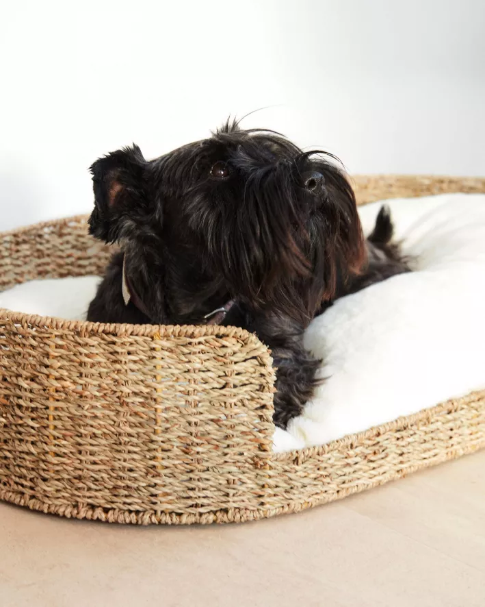 Kave Home Fliicker Hondenmand 45x80 2 Kave Home Fliicker Hondenmand 45x80 - Afbeelding 2