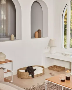 Kave Home Fliicker Hondenmand 45x80 9 Kave Home Fliicker Hondenmand 45x80 -Beste Meubelcollectie Winkel x886x886 kave home fliicker hondenmand 35x604.jpg.pagespeed.ic .tadX5qJplo