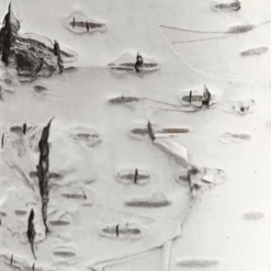 KEK Amsterdam Home Tree 3 Muursticker 6 KEK Amsterdam Home Tree 3 Muursticker -Beste Meubelcollectie Winkel x886x886 kek amsterdam hometree3 sfeer1 600x600.jpg.pagespeed.ic .lRWe5eIVoJ