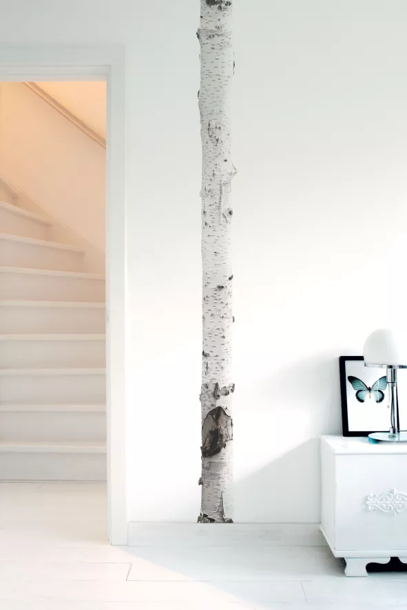 KEK Amsterdam Home Tree 3 Muursticker 4 KEK Amsterdam Home Tree 3 Muursticker - Afbeelding 4