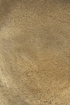 Livingstone Design Tray Dienblad L Messing 22 Livingstone Design Tray Dienblad L Messing -Beste Meubelcollectie Winkel x886x886 livingstone design tray dienblad l6.jpg.pagespeed.ic .D17Ajo3Zyn