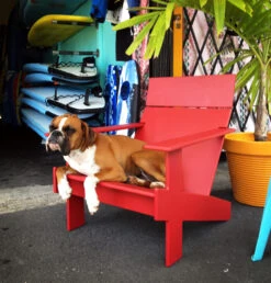 Loll Designs Lollygagger Lounge Chair Fauteuil Leaf Green 30 Loll Designs Lollygagger Lounge Chair Fauteuil Leaf Green -Beste Meubelcollectie Winkel x886x886 loll designs lollygagger lounge chair fauteuil19.jpg.pagespeed.ic .Ru41VzWhXI