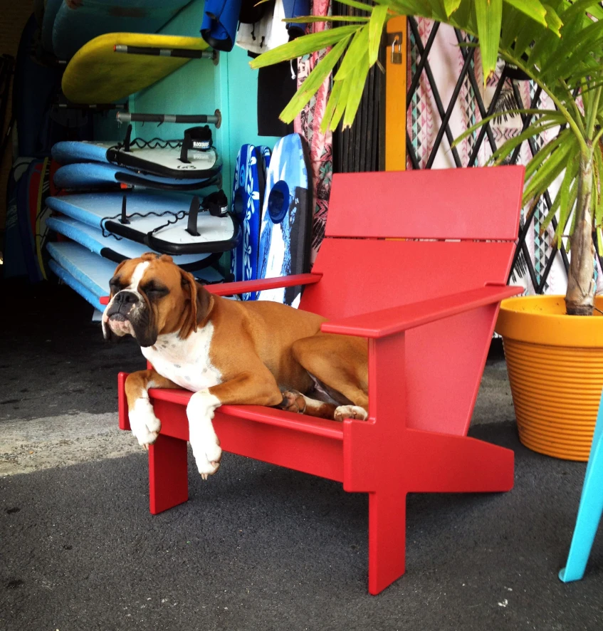 Loll Designs Lollygagger Lounge Chair Fauteuil Leaf Green 11 Loll Designs Lollygagger Lounge Chair Fauteuil Leaf Green - Afbeelding 11