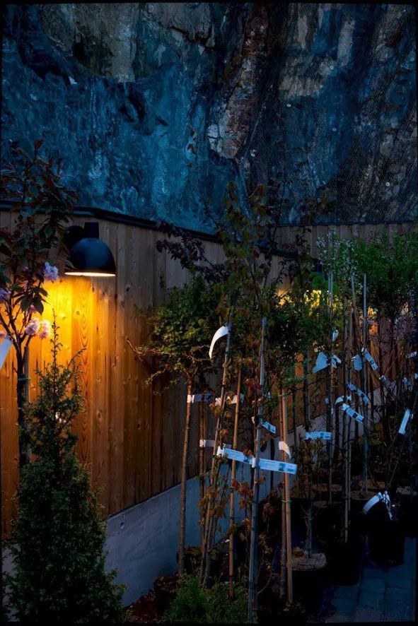 Louis Poulsen Toldbod 220 Wandlamp Zwart 7 Louis Poulsen Toldbod 220 Wandlamp Zwart - Afbeelding 7