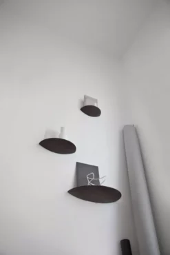 Audo Copenhagen Gridy Fungi Wandplank Large Donker Eiken -Beste Meubelcollectie Winkel x886x886 menu gridy fungi wandplank small6.jpg.pagespeed.ic .qWo1rPaPwU