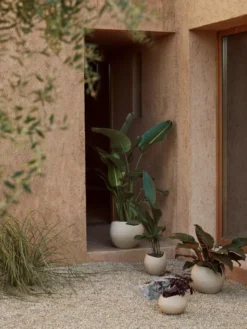 Audo Copenhagen Plantas Bloempot Extra Small Ivoor 8 Audo Copenhagen Plantas Bloempot Extra Small Ivoor -Beste Meubelcollectie Winkel x886x886 menu plantas bloempot extra small2.jpg.pagespeed.ic .6uELVSi37O