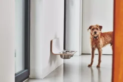 MiaCara Arco Hondenvoerbak Wand Medium/large Grijs 9 MiaCara Arco Hondenvoerbak Wand Medium/large Grijs -Beste Meubelcollectie Winkel x886x886 miacara arco hondenvoerbak wand3.jpg.pagespeed.ic .ybd NyJ9nh