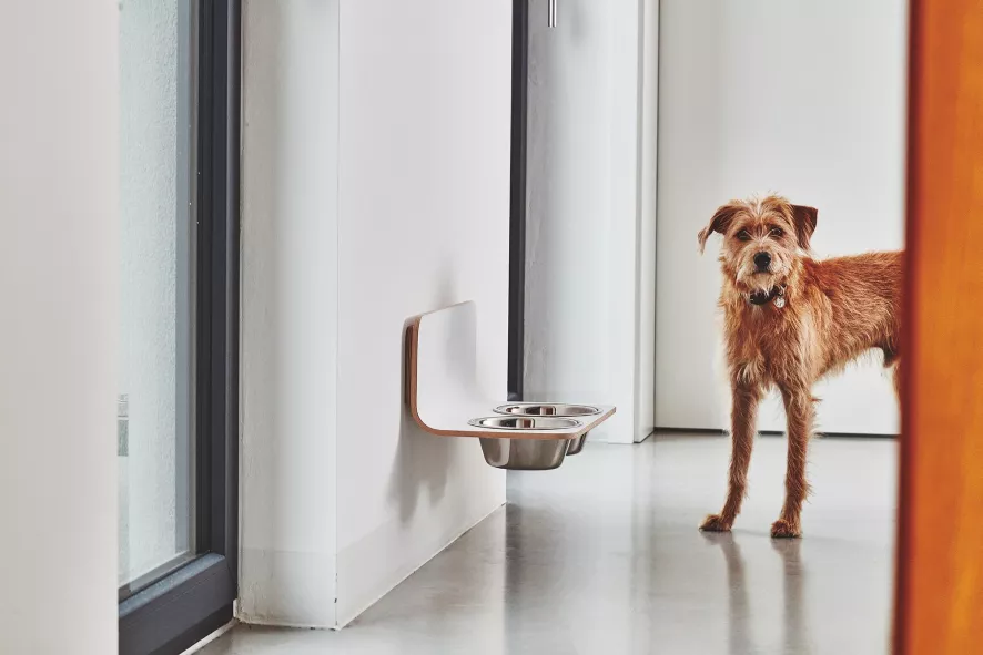 MiaCara Arco Hondenvoerbak Wand Medium/large Grijs 3 MiaCara Arco Hondenvoerbak Wand Medium/large Grijs - Afbeelding 3