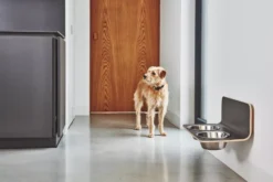 MiaCara Arco Hondenvoerbak Wand Medium/large Grijs 10 MiaCara Arco Hondenvoerbak Wand Medium/large Grijs -Beste Meubelcollectie Winkel x886x886 miacara arco hondenvoerbak wand4.jpg.pagespeed.ic .9DwEL37U2