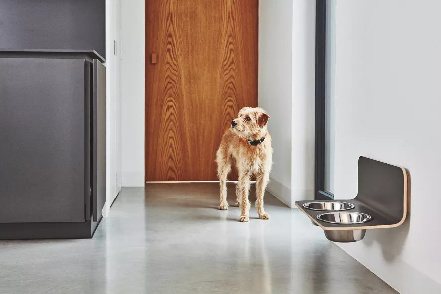 MiaCara Arco Hondenvoerbak Wand Medium/large Grijs 4 MiaCara Arco Hondenvoerbak Wand Medium/large Grijs - Afbeelding 4