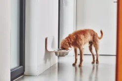 MiaCara Arco Hondenvoerbak Wand Medium/large Grijs 12 MiaCara Arco Hondenvoerbak Wand Medium/large Grijs -Beste Meubelcollectie Winkel x886x886 miacara arco hondenvoerbak wand7.jpg.pagespeed.ic .jXKAlx6rHo