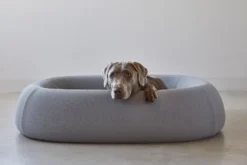 MiaCara Barca Hondenmand Small/medium Slate -Beste Meubelcollectie Winkel x886x886 miacara barca hondenmand medium large6.jpg.pagespeed.ic .4p zq FMM2