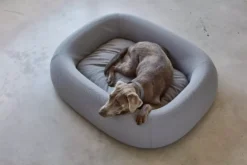 MiaCara Barca Hondenmand Small/medium Slate -Beste Meubelcollectie Winkel x886x886 miacara barca hondenmand medium large8.jpg.pagespeed.ic .v Y jq JGT