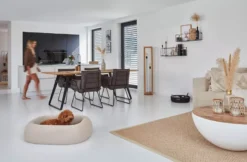 MiaCara Barca Hondenmand Small/medium Slate -Beste Meubelcollectie Winkel x886x886 miacara barca hondenmand medium large9.jpg.pagespeed.ic .M58YswOEa4