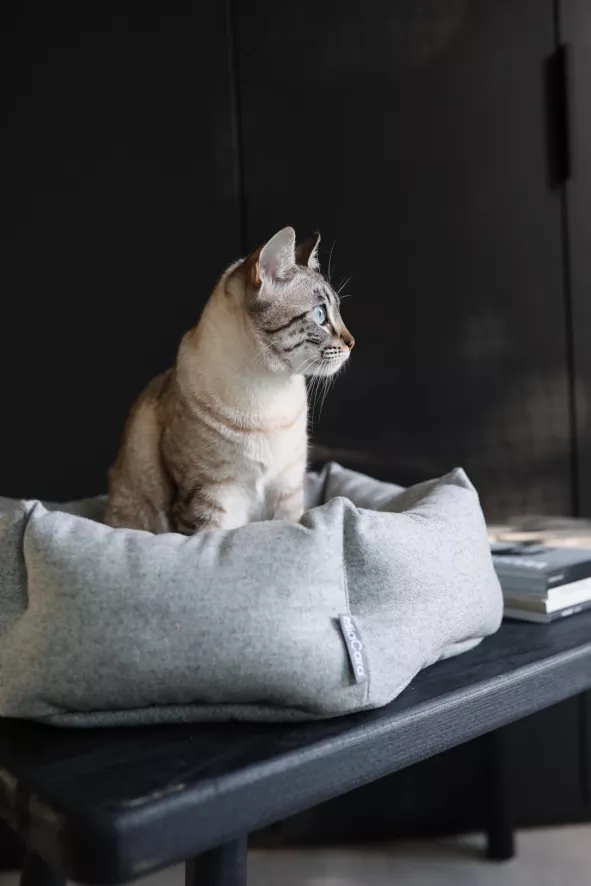 MiaCara Calma Kattenmand Ø45 Donkergrijs 2 MiaCara Calma Kattenmand Ø45 Donkergrijs - Afbeelding 2