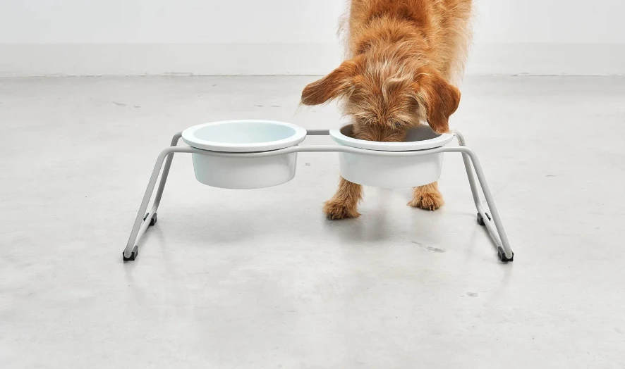 MiaCara Cena Hondenvoerbak Porselein Large 2 MiaCara Cena Hondenvoerbak Porselein Large - Afbeelding 2