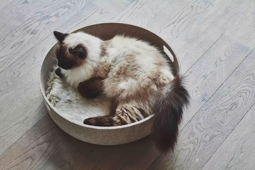 MiaCara Cesto Kattenmand 46 Beton 2 MiaCara Cesto Kattenmand 46 Beton - Afbeelding 2