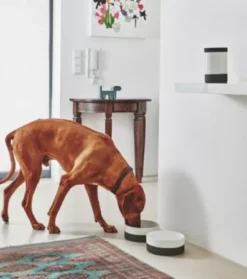 MiaCara Coppa Voorraadpot Nude 10 MiaCara Coppa Voorraadpot Nude -Beste Meubelcollectie Winkel x886x886 miacara coppa voorraadpot5.jpg.pagespeed.ic .WHiTrOE69s