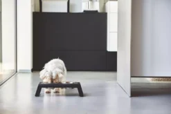 MiaCara Desco Hondenvoerbak Small Essen Naturel -Beste Meubelcollectie Winkel x886x886 miacara desco hondenvoerbak medium23.jpg.pagespeed.ic .l3VZwi4VJ2 1