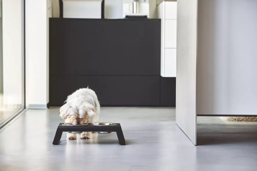 MiaCara Desco Hondenvoerbak Small Aluminium Zwart 7 MiaCara Desco Hondenvoerbak Small Aluminium Zwart - Afbeelding 7