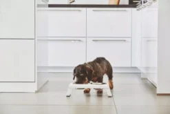 MiaCara Desco Hondenvoerbak Medium Aluminium Zwart 20 MiaCara Desco Hondenvoerbak Medium Aluminium Zwart -Beste Meubelcollectie Winkel x886x886 miacara desco hondenvoerbak medium24.jpg.pagespeed.ic .aUY84Z4sB 2